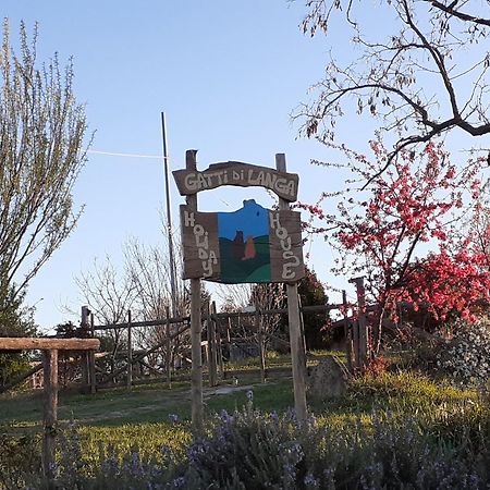 Villa Gatti Di Langa à Dogliani Extérieur photo