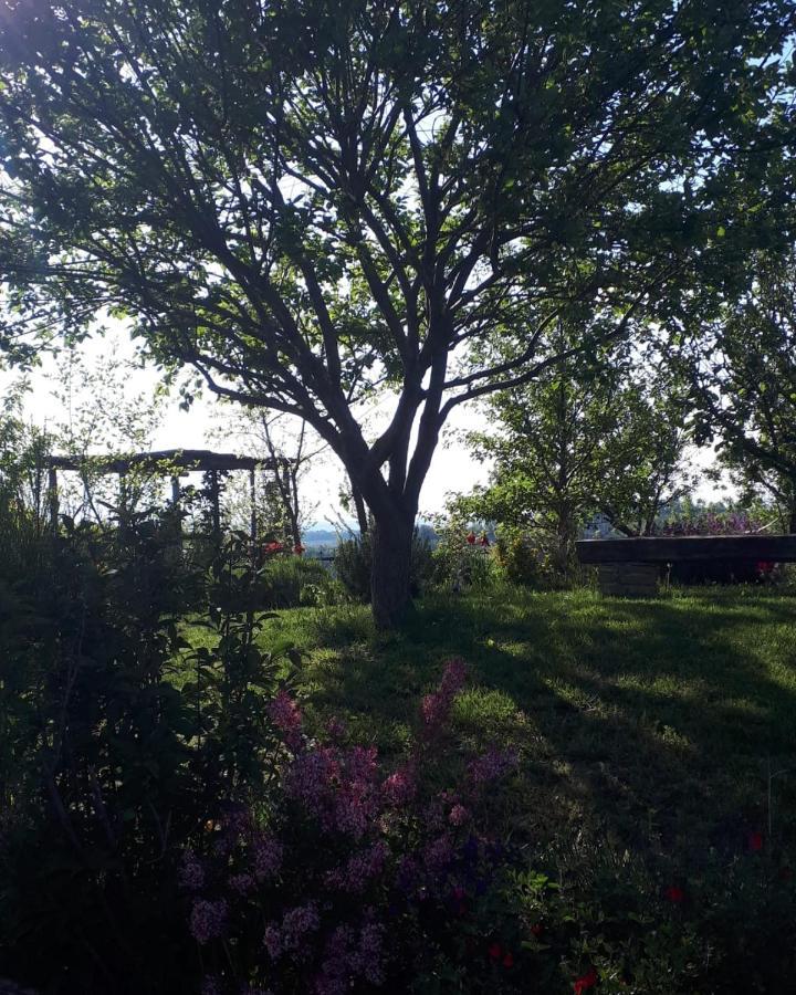 Villa Gatti Di Langa à Dogliani Extérieur photo