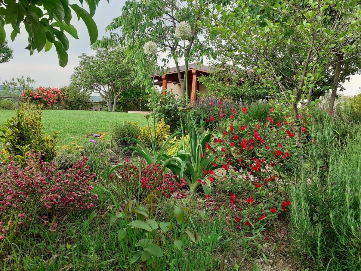 Villa Gatti Di Langa à Dogliani Extérieur photo